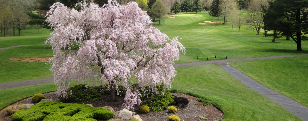 Spring ford country club royersford pa #8